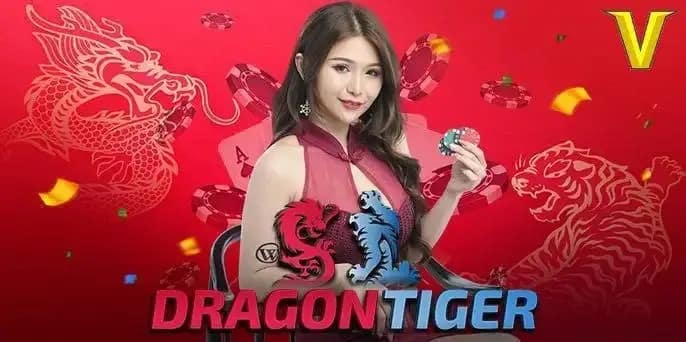 11xplay dragon tiger